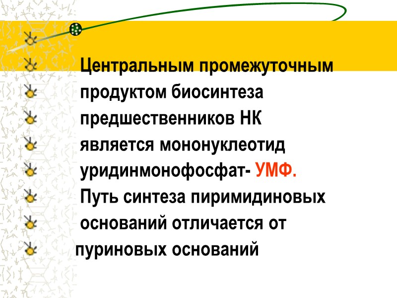 Центральным промежуточным          продуктом биосинтеза 